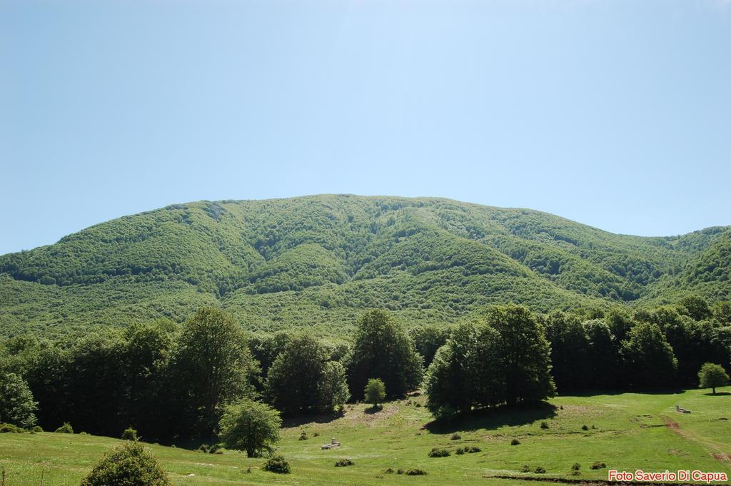 Country House Il Papavero Montella Exterior photo